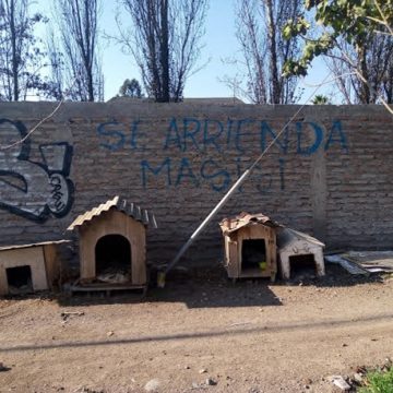 Talagante: de la alta honra de ser un “Pueblo de indios” a un infame “SE ARRIENDA… MASISI” escrito en sus muros y sobre casetas para perros