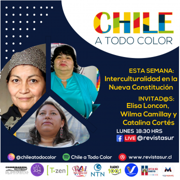 Chile a Todo Color «Pueblos Originarios e Interculturalidad en la Nueva Constitución»