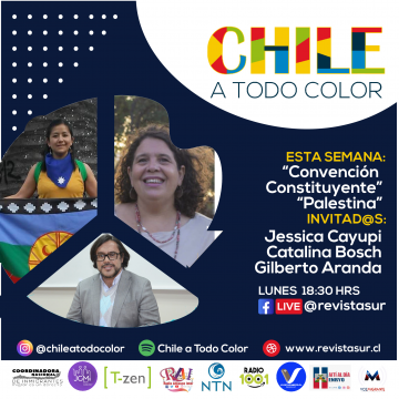 Chile a Todo Color: Elección de Constituyentes